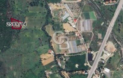 Güzelbahçe Çamlı İmar Sınırında 1.032,52 m² Yatırım İçin Fırsat Arazi