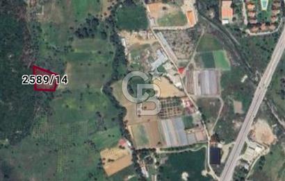 Güzelbahçe Çamlı İmar Sınırında 1.032,52 m² Yatırım İçin Fırsat Arazi