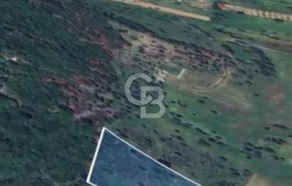 Güzelbahçe Çamlı İmar Sınırında 1.032,52 m² Yatırım İçin Fırsat Arazi