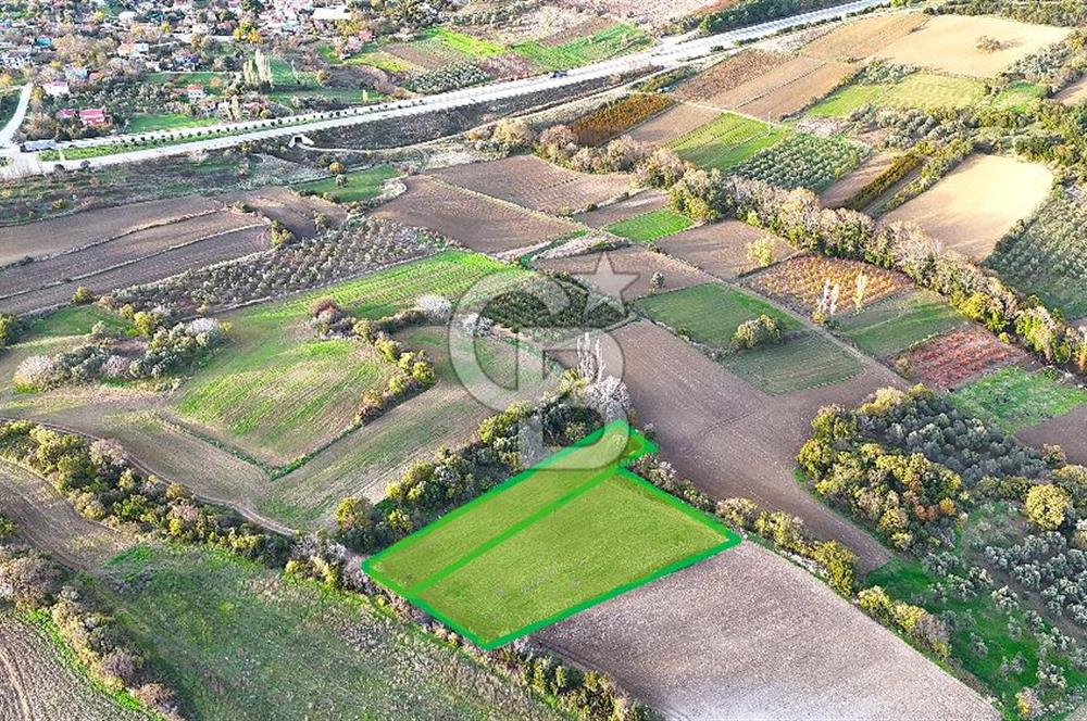 Çanakkale,Lapseki,Sulucada,1915 Köprü Manzaralı, Satılık Tarla