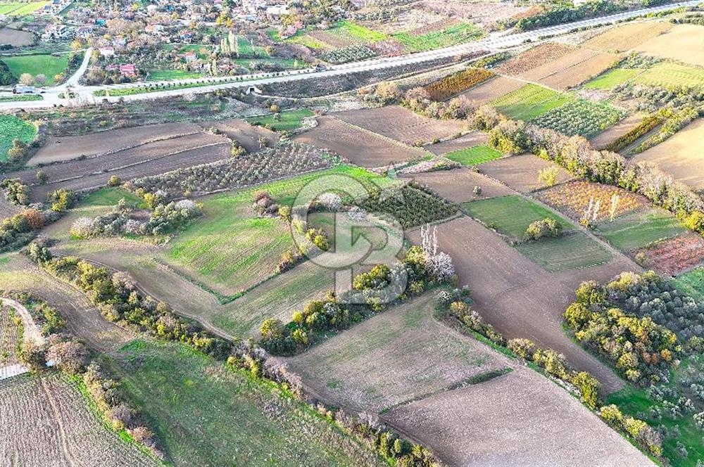 Çanakkale,Lapseki,Sulucada,1915 Köprü Manzaralı, Satılık Tarla