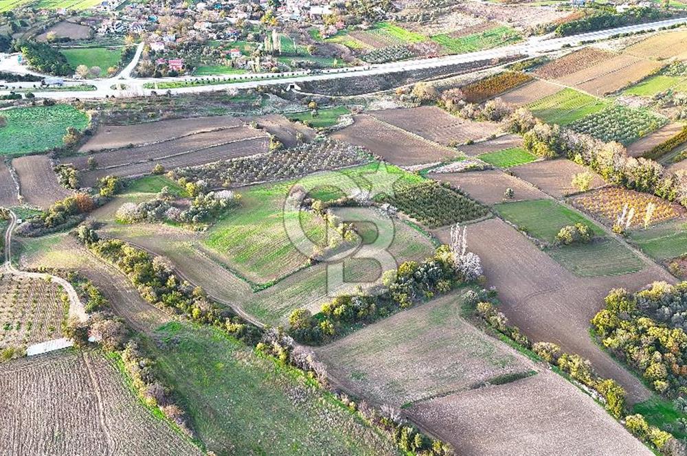 Çanakkale,Lapseki,Sulucada,1915 Köprü Manzaralı, Satılık Tarla