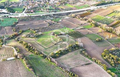 Çanakkale,Lapseki,Sulucada,1915 Köprü Manzaralı, Satılık Tarla