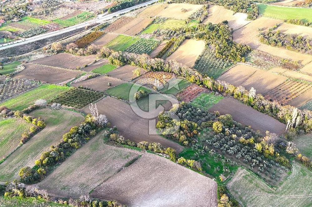 Çanakkale,Lapseki,Sulucada,1915 Köprü Manzaralı, Satılık Tarla