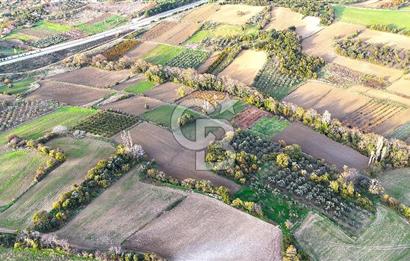 Çanakkale,Lapseki,Sulucada,1915 Köprü Manzaralı, Satılık Tarla