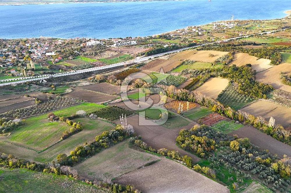 Çanakkale,Lapseki,Sulucada,1915 Köprü Manzaralı, Satılık Tarla
