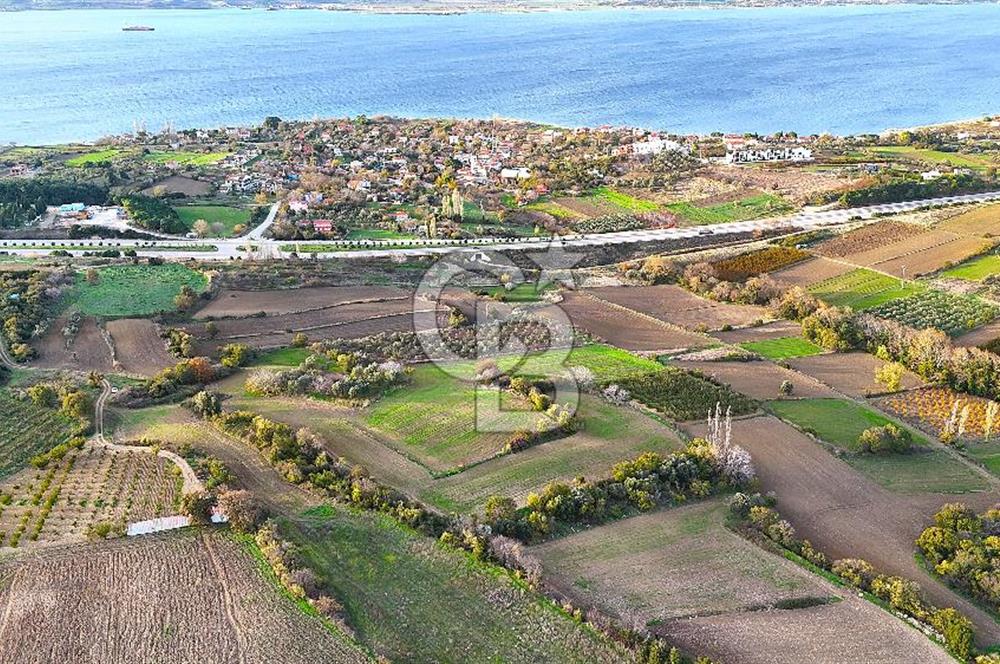Çanakkale,Lapseki,Sulucada,1915 Köprü Manzaralı, Satılık Tarla