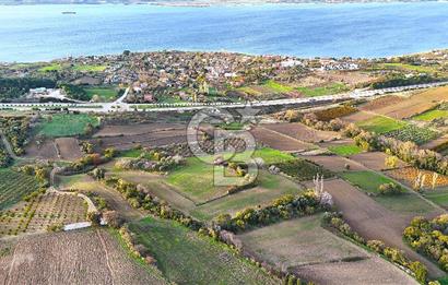 Çanakkale,Lapseki,Sulucada,1915 Köprü Manzaralı, Satılık Tarla