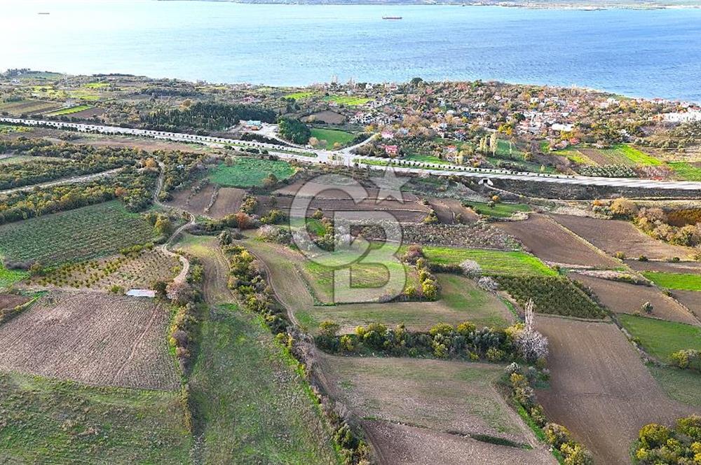 Çanakkale,Lapseki,Sulucada,1915 Köprü Manzaralı, Satılık Tarla