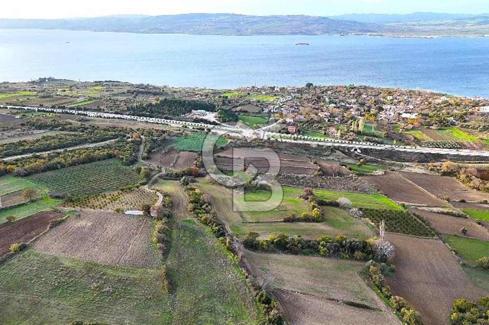 Çanakkale,Lapseki,Sulucada,1915 Köprü Manzaralı, Satılık Tarla