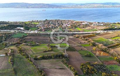 Çanakkale,Lapseki,Sulucada,1915 Köprü Manzaralı, Satılık Tarla