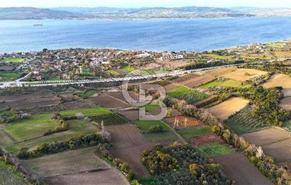 Çanakkale,Lapseki,Sulucada,1915 Köprü Manzaralı, Satılık Tarla