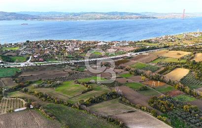 Çanakkale,Lapseki,Sulucada,1915 Köprü Manzaralı, Satılık Tarla