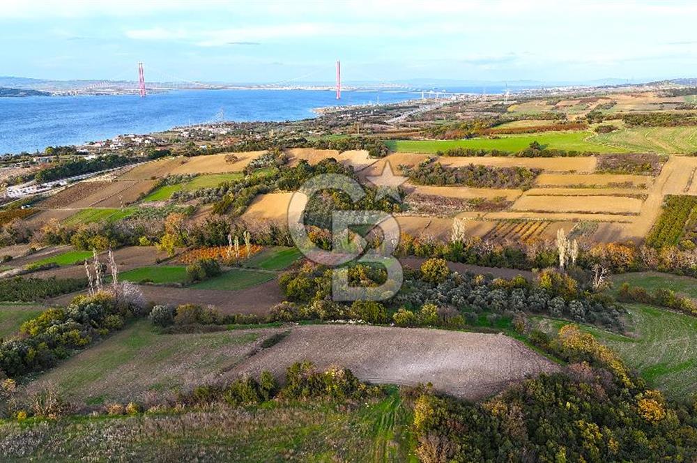 Çanakkale,Lapseki,Sulucada,1915 Köprü Manzaralı, Satılık Tarla