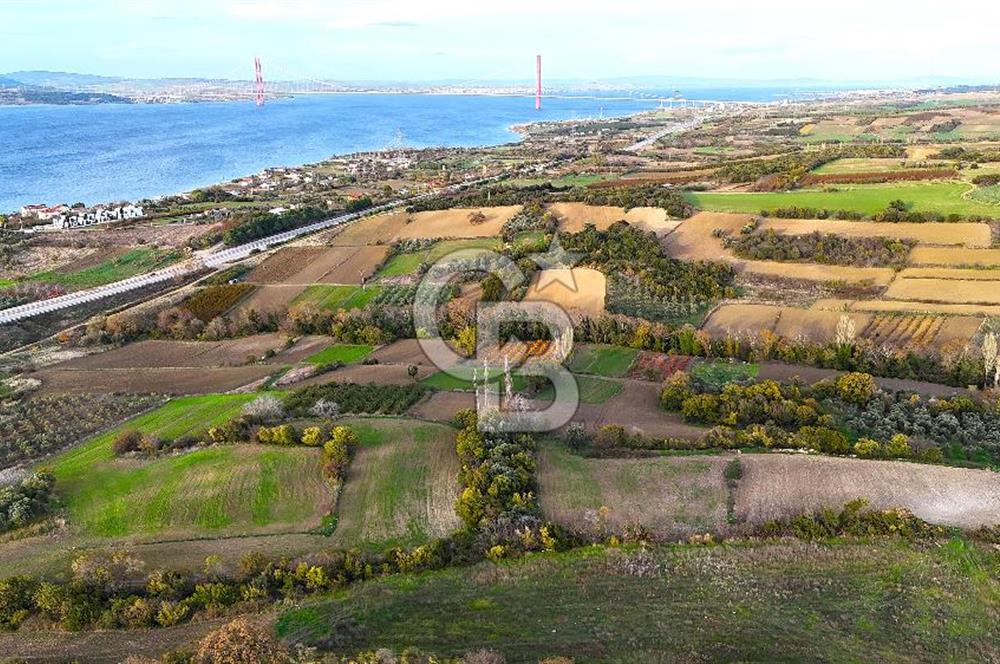 Çanakkale,Lapseki,Sulucada,1915 Köprü Manzaralı, Satılık Tarla