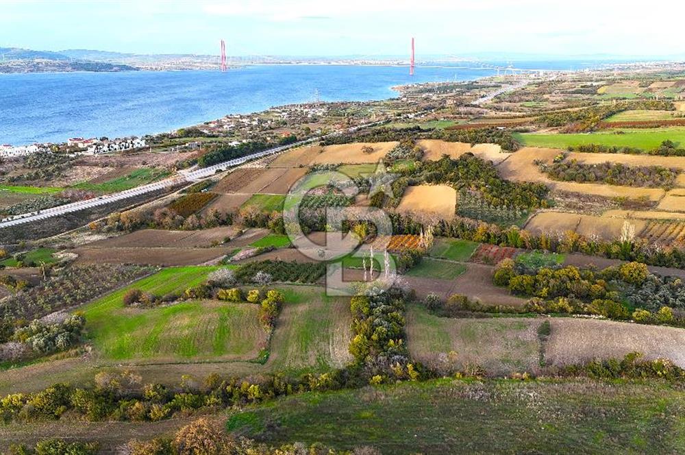 Çanakkale,Lapseki,Sulucada,1915 Köprü Manzaralı, Satılık Tarla