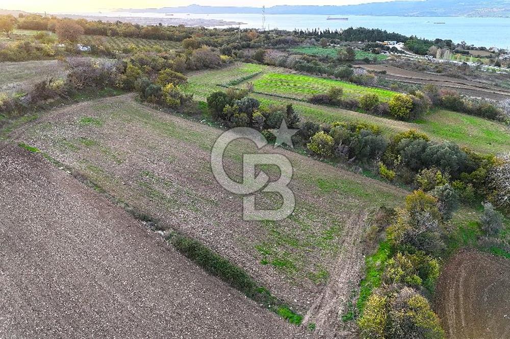 Çanakkale,Lapseki,Sulucada,1915 Köprü Manzaralı, Satılık Tarla