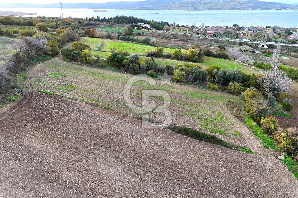 Çanakkale,Lapseki,Sulucada,1915 Köprü Manzaralı, Satılık Tarla