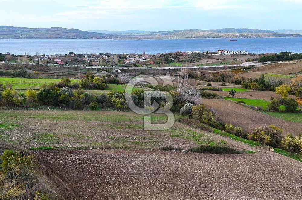 Çanakkale,Lapseki,Sulucada,1915 Köprü Manzaralı, Satılık Tarla