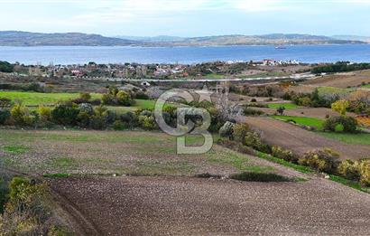 Çanakkale,Lapseki,Sulucada,1915 Köprü Manzaralı, Satılık Tarla