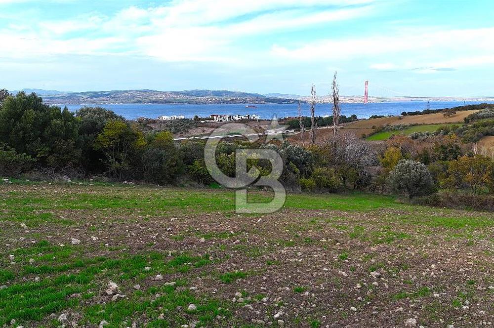 Çanakkale,Lapseki,Sulucada,1915 Köprü Manzaralı, Satılık Tarla