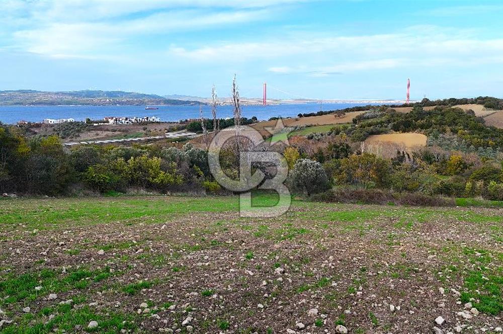 Çanakkale,Lapseki,Sulucada,1915 Köprü Manzaralı, Satılık Tarla