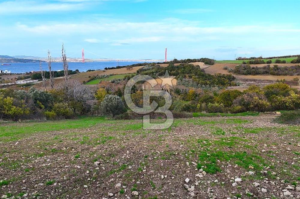 Çanakkale,Lapseki,Sulucada,1915 Köprü Manzaralı, Satılık Tarla