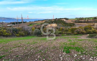 Çanakkale,Lapseki,Sulucada,1915 Köprü Manzaralı, Satılık Tarla