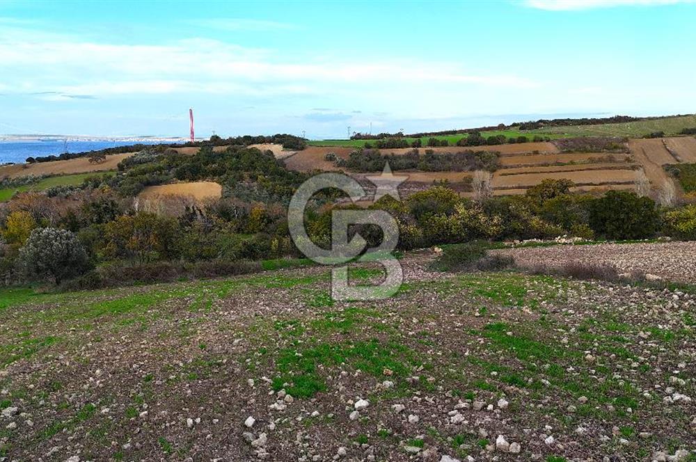 Çanakkale,Lapseki,Sulucada,1915 Köprü Manzaralı, Satılık Tarla