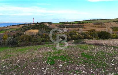 Çanakkale,Lapseki,Sulucada,1915 Köprü Manzaralı, Satılık Tarla