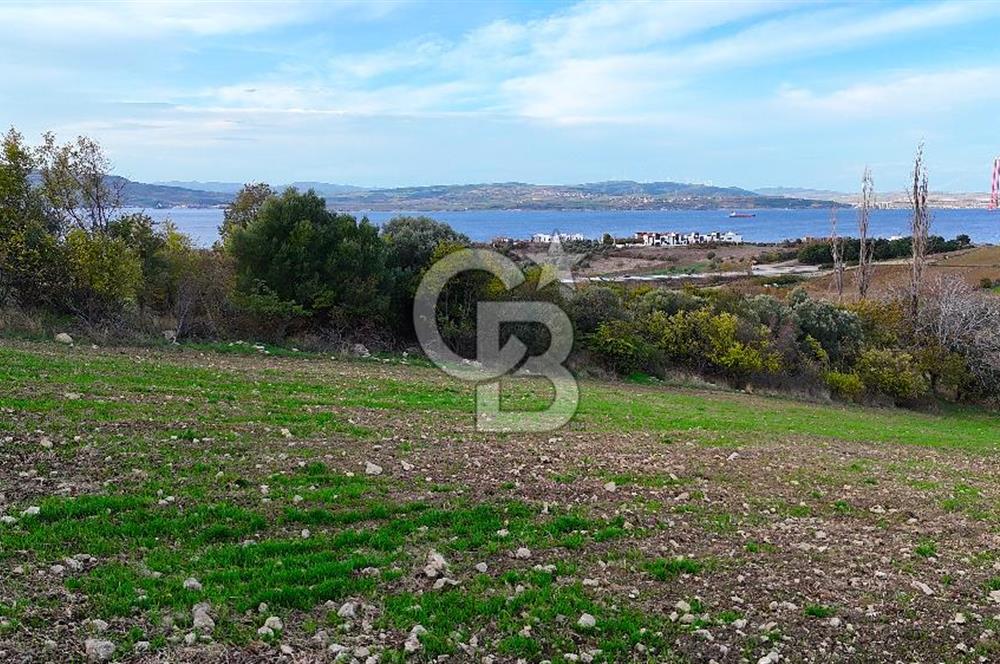 Çanakkale,Lapseki,Sulucada,1915 Köprü Manzaralı, Satılık Tarla