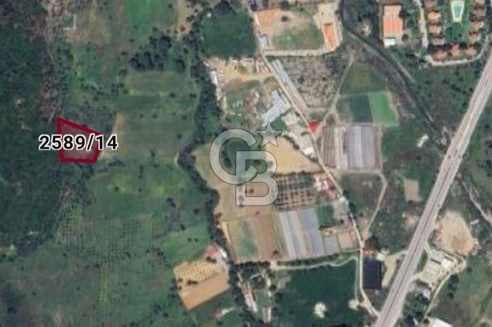 Güzelbahçe Çamlı İmar Sınırında 1.032,52 m² Yatırım İçin Fırsat Arazi