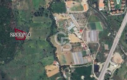 Güzelbahçe Çamlı İmar Sınırında 1.032,52 m² Yatırım İçin Fırsat Arazi