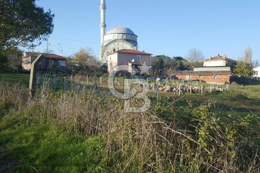 Çatalca Kalfa'da Köyiçi İmarlı Arsa 260 m2