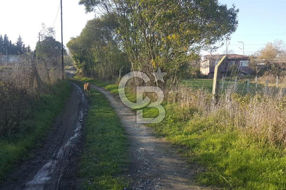 Çatalca Kalfa'da Köyiçi İmarlı Arsa 260 m2