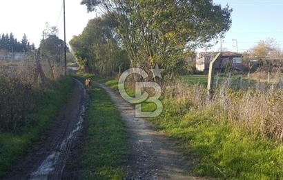 Çatalca Kalfa'da Köyiçi İmarlı Arsa 260 m2