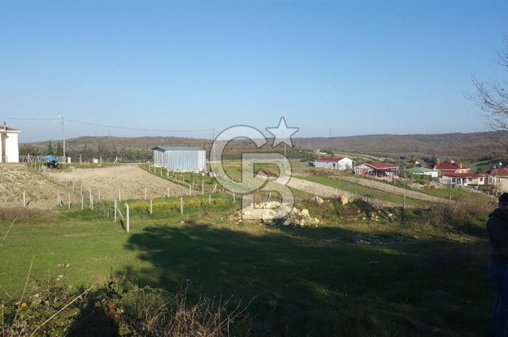 Çatalca Kalfa'da Köyiçi İmarlı Arsa 260 m2