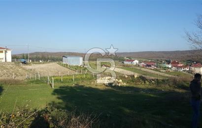 Çatalca Kalfa'da Köyiçi İmarlı Arsa 260 m2