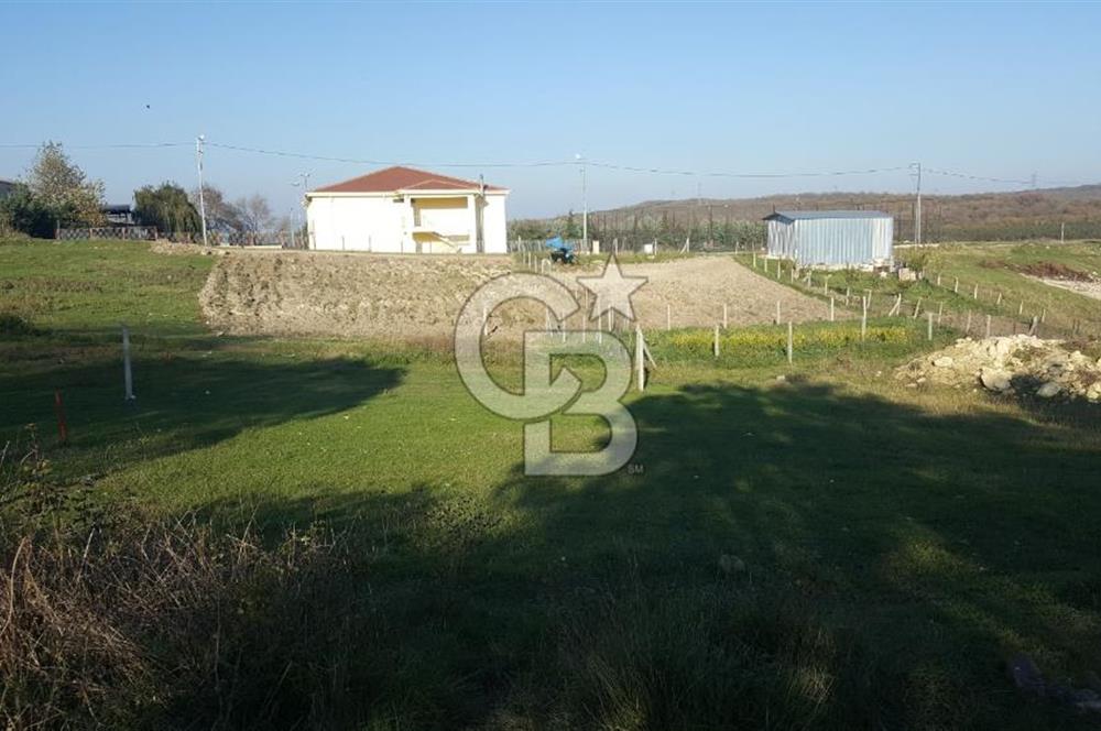 Çatalca Kalfa'da Köyiçi İmarlı Arsa 260 m2