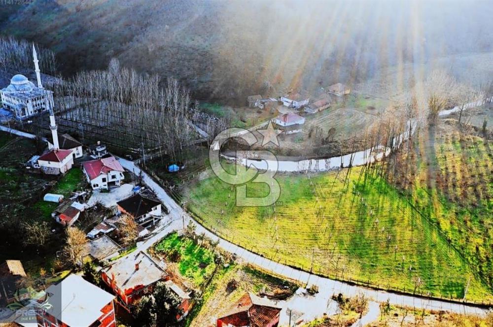 Ruhsatlı Projesi onaylanmış hazır imarlı arsa !