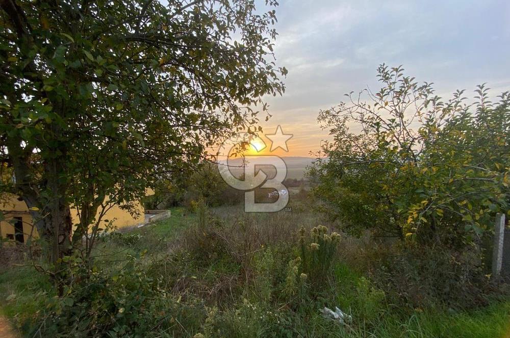 Şile Bucaklı Mahallesi’nde 519 m² İmarlı Arsa