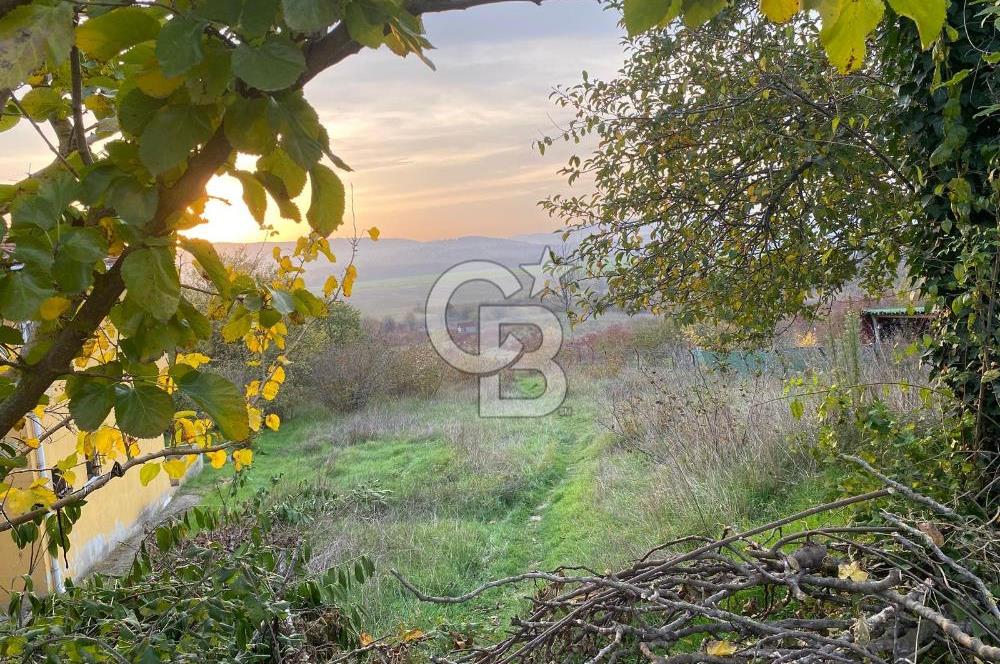 Şile Bucaklı Mahallesi’nde 519 m² İmarlı Arsa