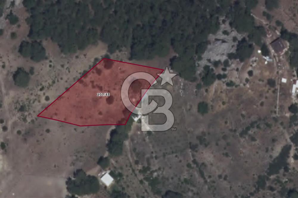 KONYAALTI HİSARÇANDIRDA ORMANA SINIR DOĞA MANZARALI SATILIK ARSA