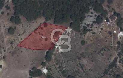 KONYAALTI HİSARÇANDIRDA ORMANA SINIR DOĞA MANZARALI SATILIK ARSA