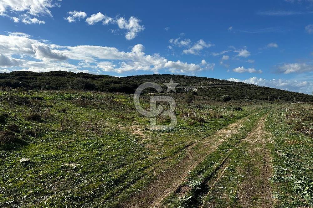 MENEMEN SEYREK VİLLAKENT'TE SATILIK VİLLA İMARLI ARSA