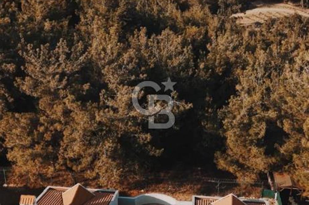 SEÇKİN KOMŞULARLA DAĞ MANZARALI EFSANEVİLLA