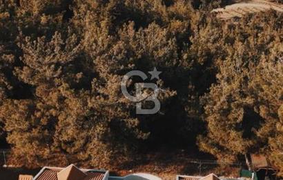 SEÇKİN KOMŞULARLA DAĞ MANZARALI EFSANEVİLLA