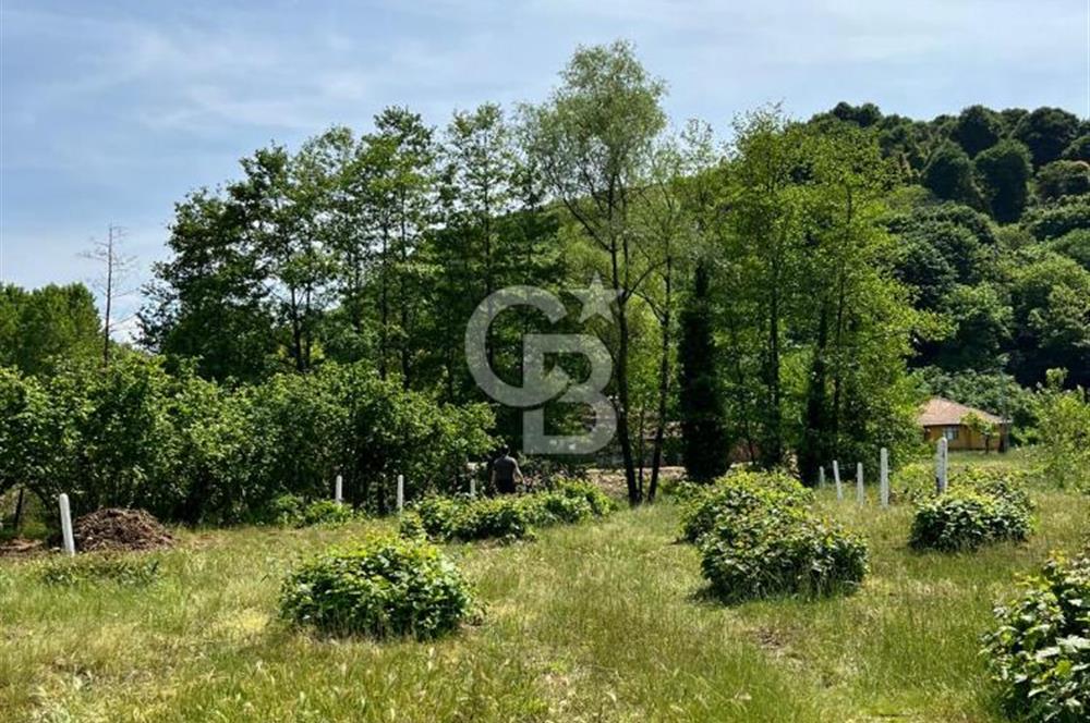 Ruhsatlı Projesi onaylanmış hazır imarlı arsa !