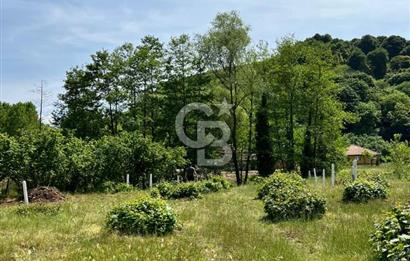 Ruhsatlı Projesi onaylanmış hazır imarlı arsa !