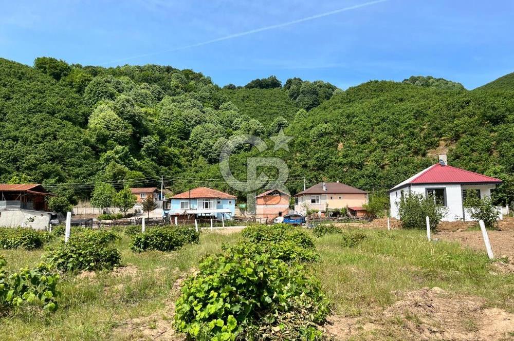 Ruhsatlı Projesi onaylanmış hazır imarlı arsa !